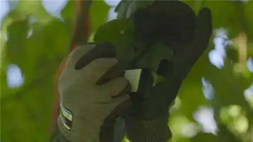僅有這些抓人眼球的室外標(biāo)識才配叫創(chuàng)意！廣告主也滿意10