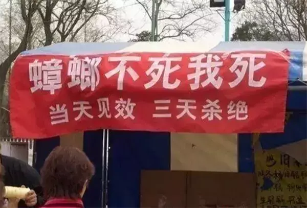 這些沙雕招牌廣告標(biāo)語，讓我站路邊笑了半天停不下來17